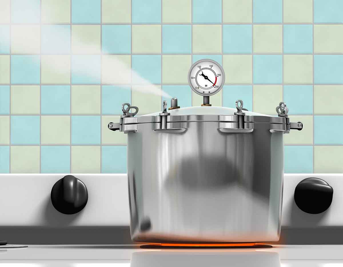 Pressure Cooker Buying Guide