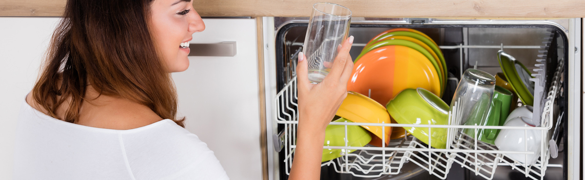 Integrated Dishwashers